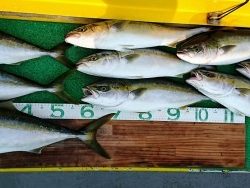 火遠理丸(ほおりまる) 釣果