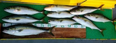 火遠理丸(ほおりまる) 釣果