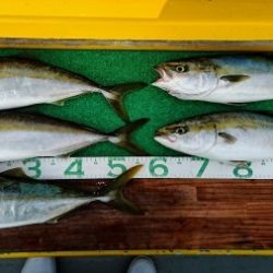 火遠理丸(ほおりまる) 釣果