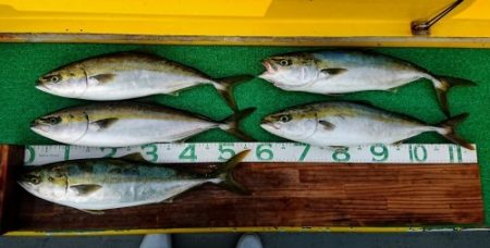 火遠理丸(ほおりまる) 釣果