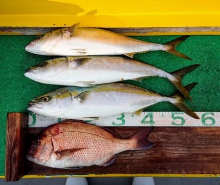 火遠理丸(ほおりまる) 釣果