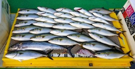 火遠理丸（ほおりまる） 釣果