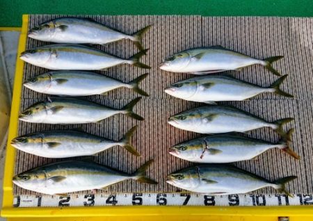 火遠理丸（ほおりまる） 釣果