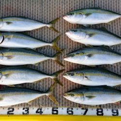 火遠理丸（ほおりまる） 釣果