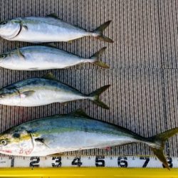 火遠理丸（ほおりまる） 釣果