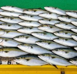 火遠理丸（ほおりまる） 釣果