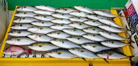 火遠理丸（ほおりまる） 釣果