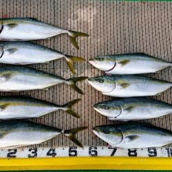 火遠理丸（ほおりまる） 釣果