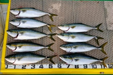 火遠理丸（ほおりまる） 釣果