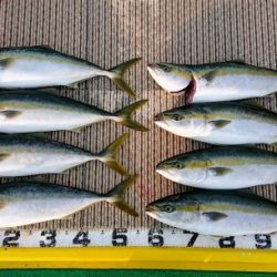 火遠理丸（ほおりまる） 釣果