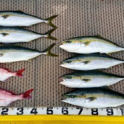 火遠理丸（ほおりまる） 釣果