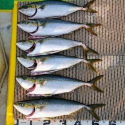 火遠理丸（ほおりまる） 釣果