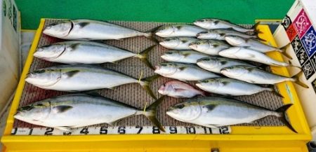 火遠理丸（ほおりまる） 釣果