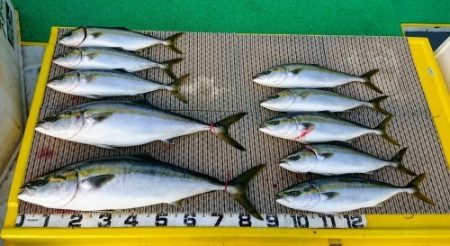 火遠理丸(ほおりまる) 釣果