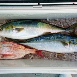 火遠理丸(ほおりまる) 釣果