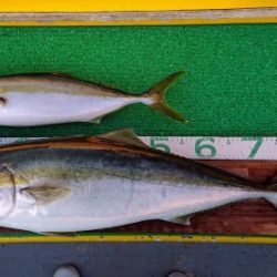 火遠理丸(ほおりまる) 釣果