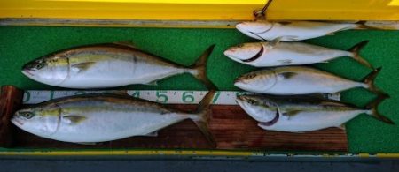 火遠理丸(ほおりまる) 釣果