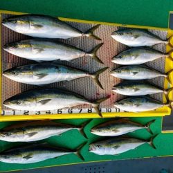 火遠理丸(ほおりまる) 釣果