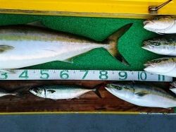 火遠理丸（ほおりまる） 釣果