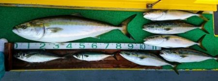 火遠理丸（ほおりまる） 釣果