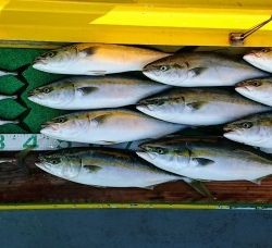 火遠理丸（ほおりまる） 釣果