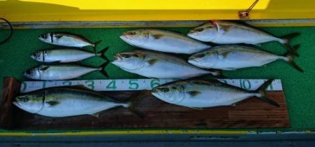 火遠理丸（ほおりまる） 釣果