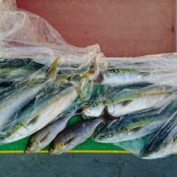 火遠理丸(ほおりまる) 釣果