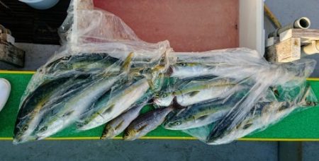 火遠理丸(ほおりまる) 釣果