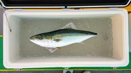 火遠理丸(ほおりまる) 釣果