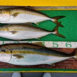 火遠理丸（ほおりまる） 釣果