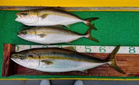 火遠理丸（ほおりまる） 釣果