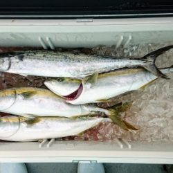 火遠理丸（ほおりまる） 釣果