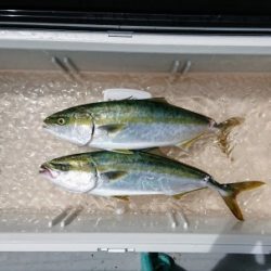 火遠理丸(ほおりまる) 釣果