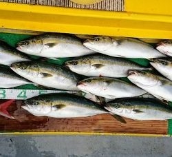 火遠理丸(ほおりまる) 釣果