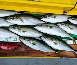 火遠理丸(ほおりまる) 釣果