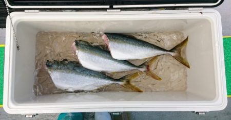 火遠理丸(ほおりまる) 釣果