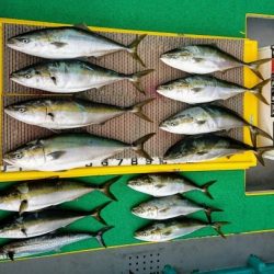 火遠理丸(ほおりまる) 釣果