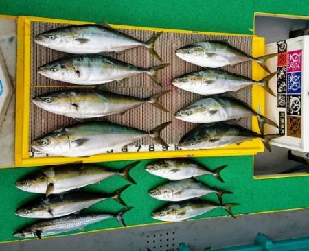 火遠理丸（ほおりまる） 釣果