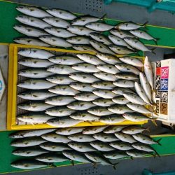 火遠理丸(ほおりまる) 釣果