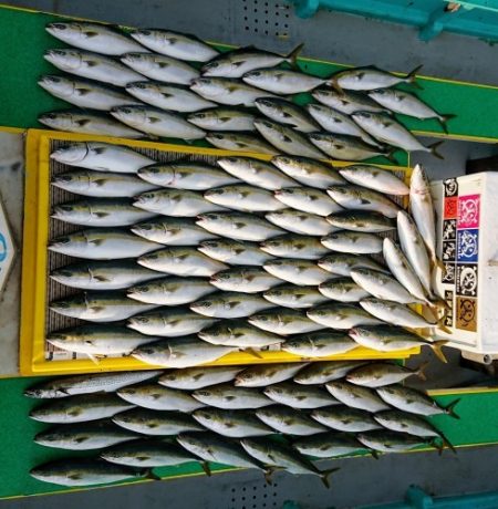 火遠理丸(ほおりまる) 釣果