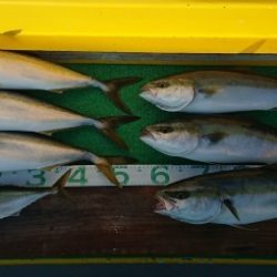 火遠理丸(ほおりまる) 釣果