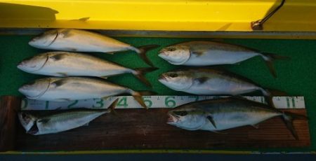 火遠理丸（ほおりまる） 釣果