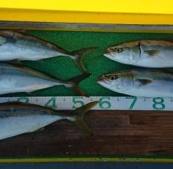 火遠理丸(ほおりまる) 釣果