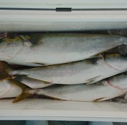 火遠理丸(ほおりまる) 釣果