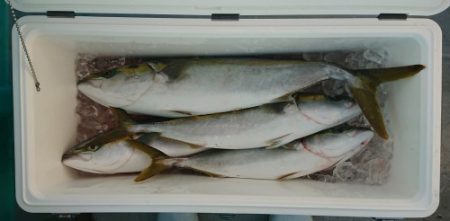 火遠理丸(ほおりまる) 釣果