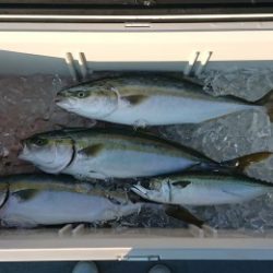 火遠理丸(ほおりまる) 釣果