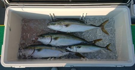 火遠理丸(ほおりまる) 釣果