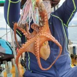 遊漁船　ニライカナイ 釣果