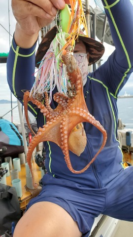 遊漁船　ニライカナイ 釣果