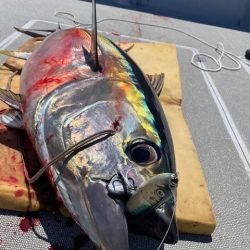 へいみつ丸 釣果